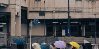 เชียงใหม่หน้าฝน: อีกด้านของเมืองที่ไม่ใช่แค่หมอก แต่คือเสน่ห์ที่หน้าหนาวให้ไม่ได้