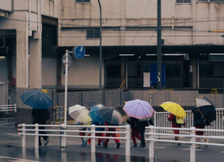 เชียงใหม่หน้าฝน: อีกด้านของเมืองที่ไม่ใช่แค่หมอก แต่คือเสน่ห์ที่หน้าหนาวให้ไม่ได้ เชียงใหม่หน้าฝน: อีกด้านของเมืองที่ไม่ใช่แค่หมอก แต่คือเสน่ห์ที่หน้าหนาวให้ไม่ได้